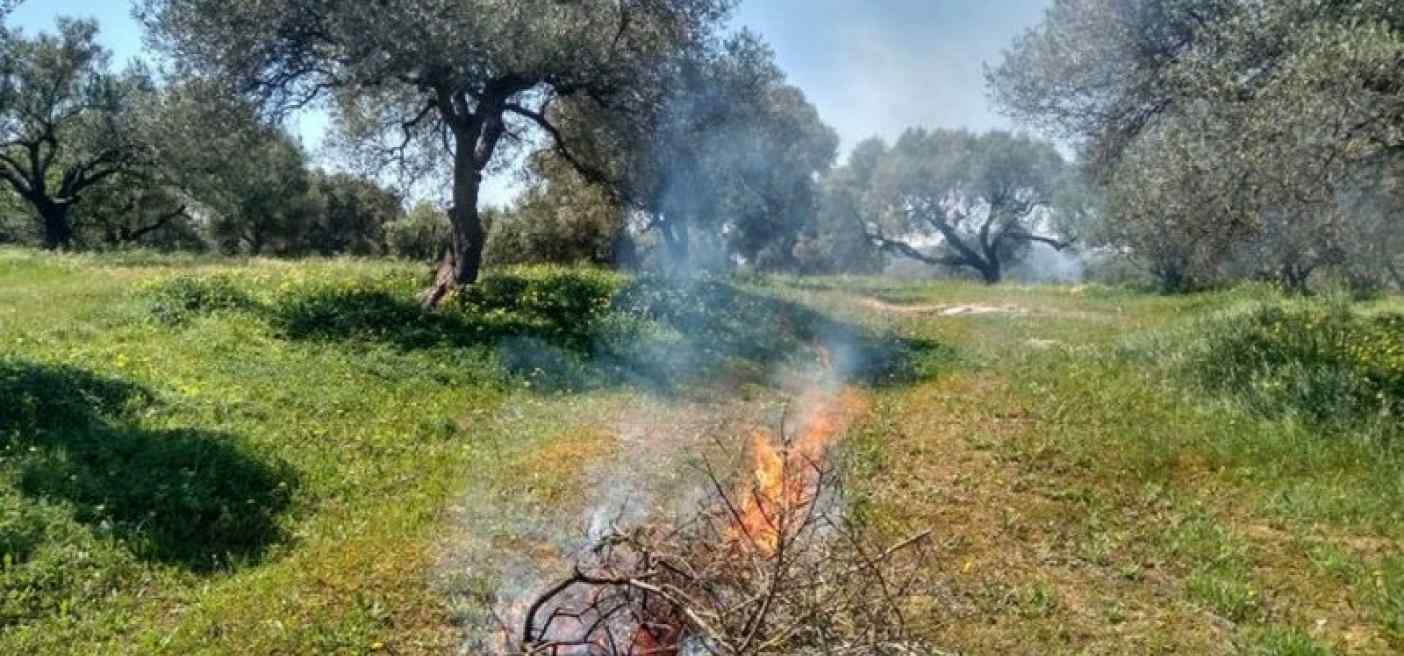 ΑΠΑΓΟΡΕΥΣΗ ΚΑΥΣΗΣ